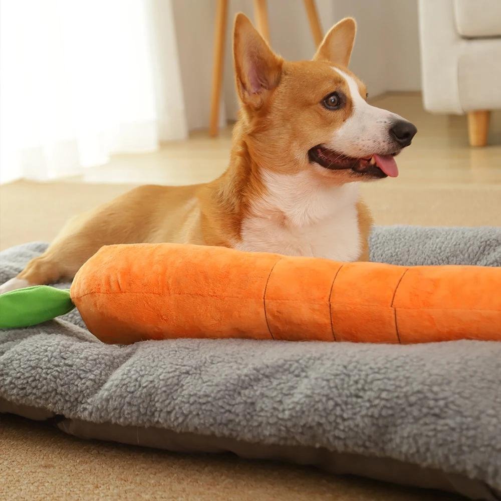 Fun Squeaky Puppy Chew Toy - Luxicro