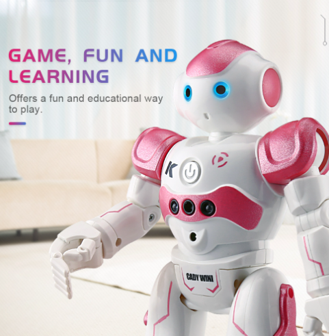 Cool Remote Control Robot Toy