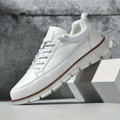 Casual Men's Low Top Sport Shoes