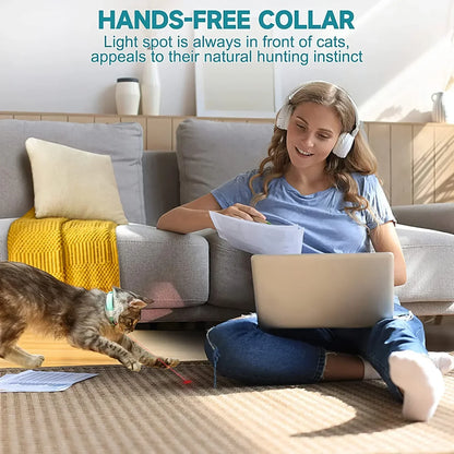 Fun Interactive Cat Toy