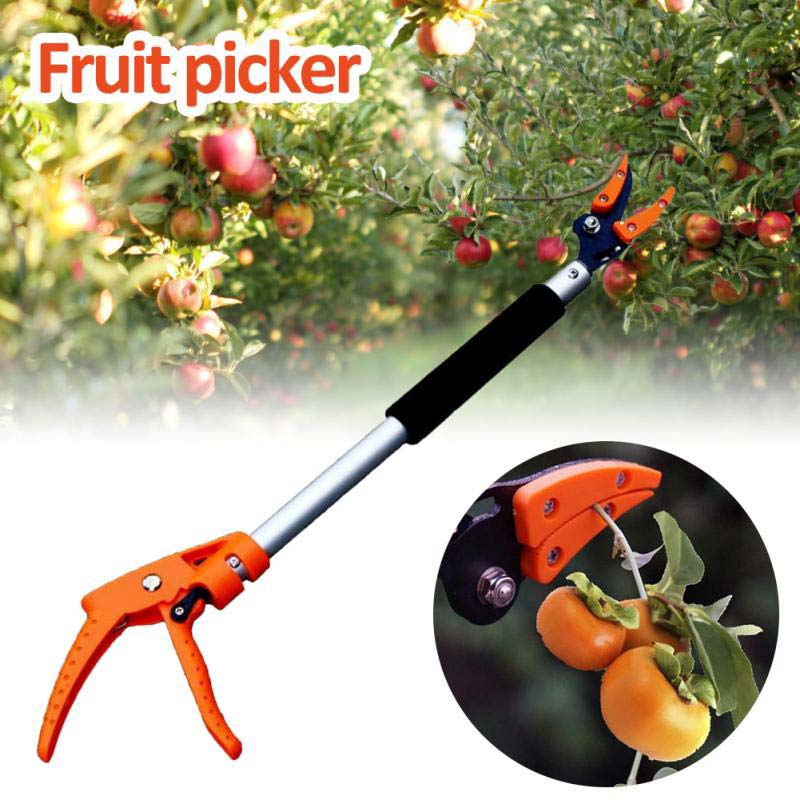 Long Reach Hedge Trimmer for Tall Hedges
