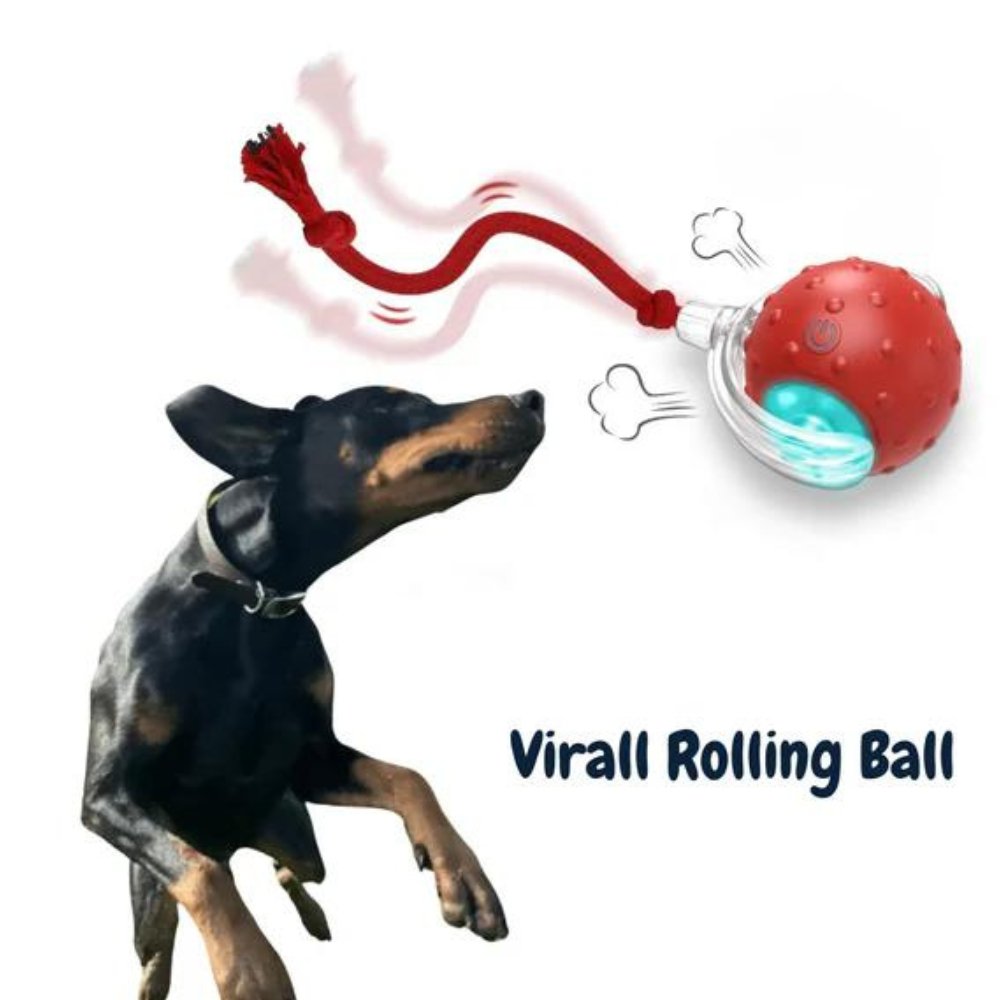 Fun Pet Rolling Ball Toy For Dogs Interactive Play - Luxicro