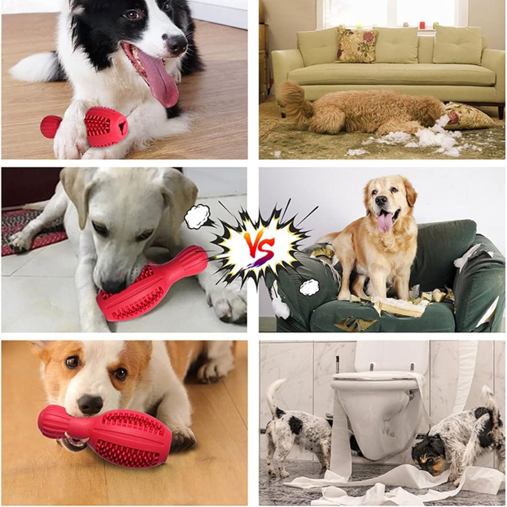 Fun Ball Shaped Dog Chew Toy