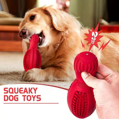 Fun Ball Shaped Dog Chew Toy
