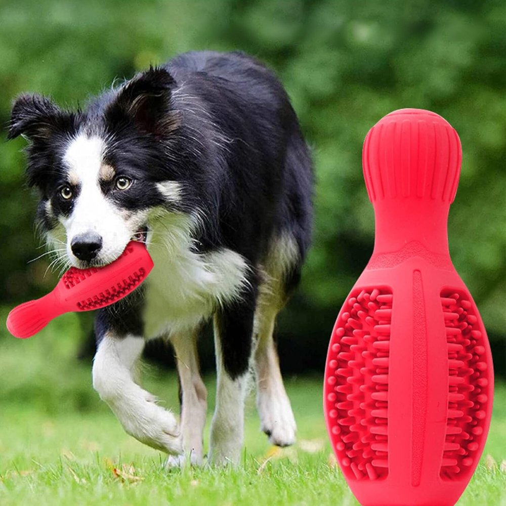 Fun Ball Shaped Dog Chew Toy