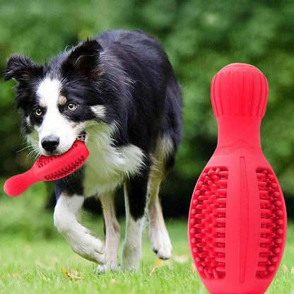 Fun Ball Shaped Dog Chew Toy