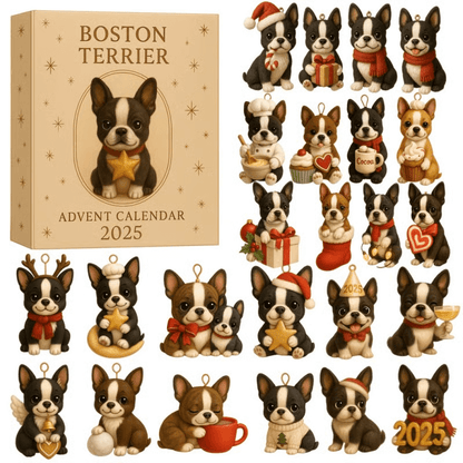 Humorous Pet Advent Calendar Gift Box