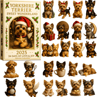 Humorous Pet Advent Calendar Gift Box