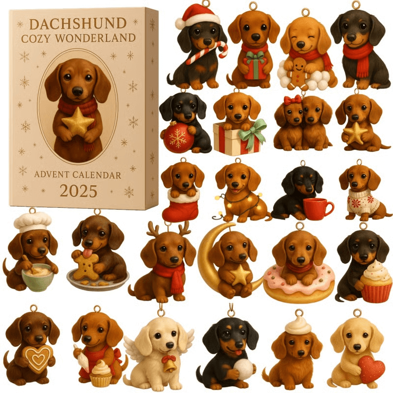 Humorous Pet Advent Calendar Gift Box