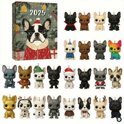 Humorous Pet Advent Calendar Gift Box