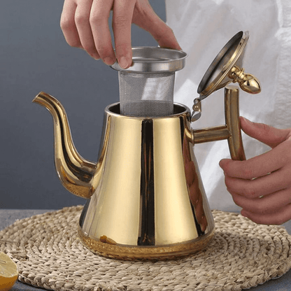 Premium Electric Kettle with Filter Stainless Steel Teapot