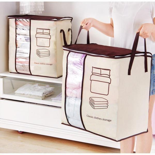 Collapsible Closet Organizer Bag