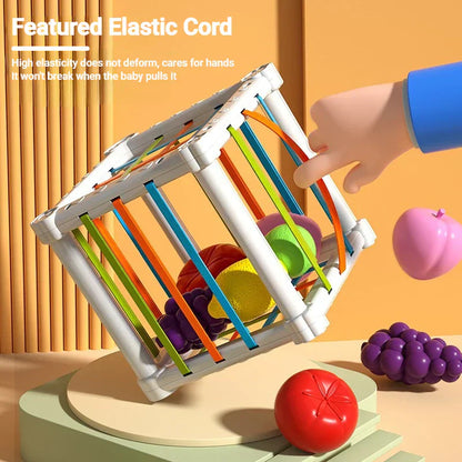 Educational Shape Sorting Toy Box