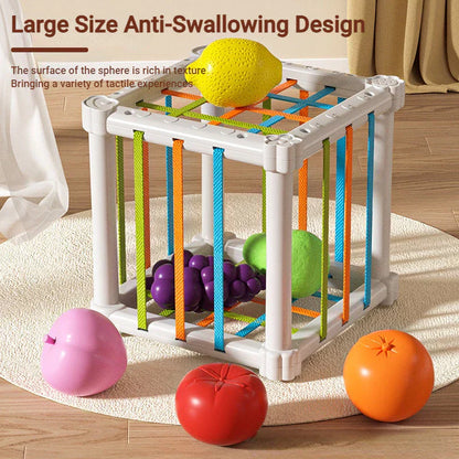 Educational Wooden Shape Sorter Toy Box