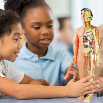 Interactive 3D Human Body Model for Kids - Luxicro