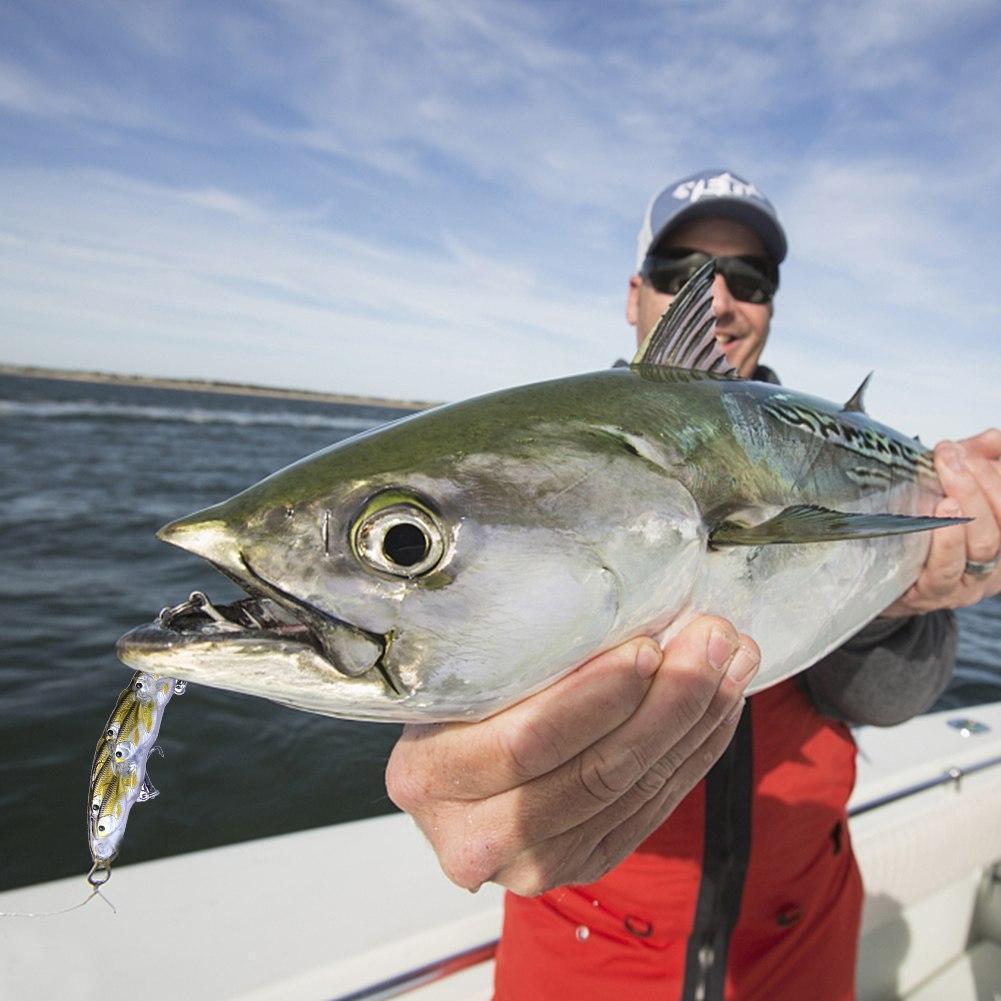 Strong Dual Point Fishing Lure