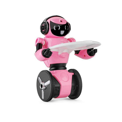 Cool Interactive Balancing Robot Toy