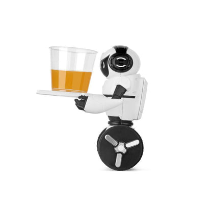 Cool Interactive Balancing Robot Toy