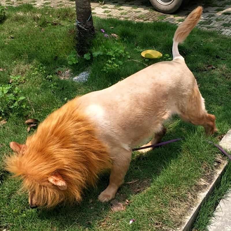 Comical Lion Pet Costume for Dogs - Luxicro