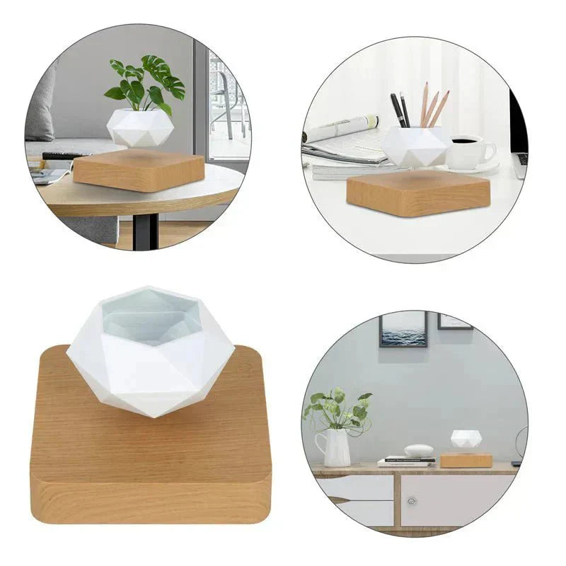 Airy Glass Terrarium Indoor Plant Holders