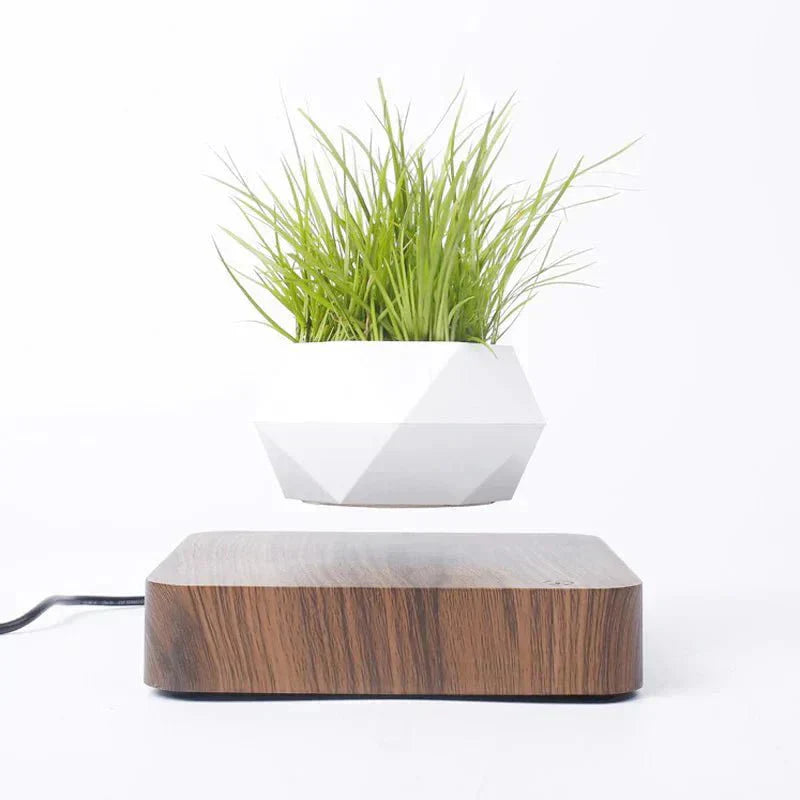 Airy Glass Terrarium Indoor Plant Holders