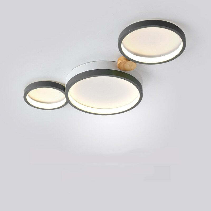 Elegant Contemporary Overhead Light