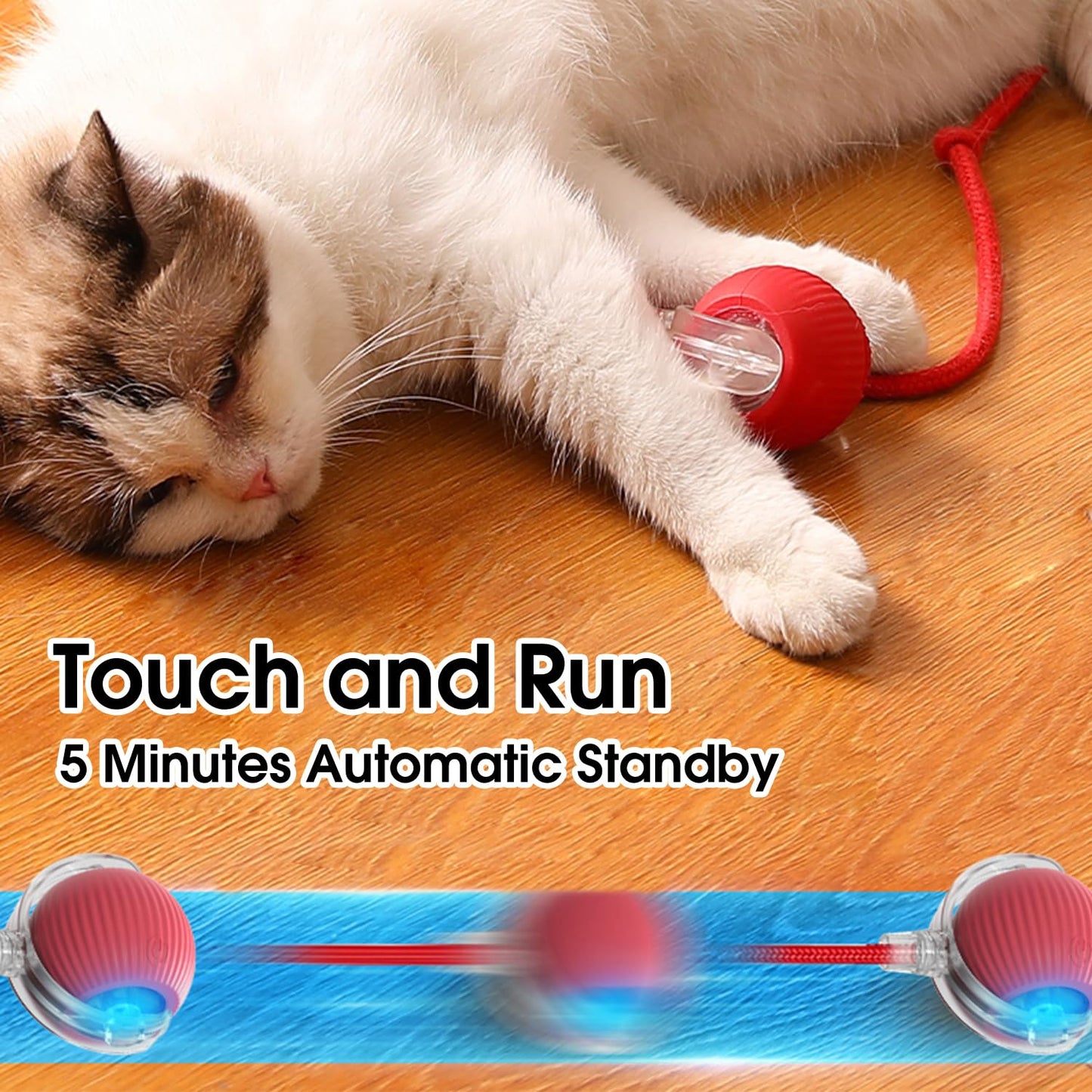 Fun Interactive Pet Toy