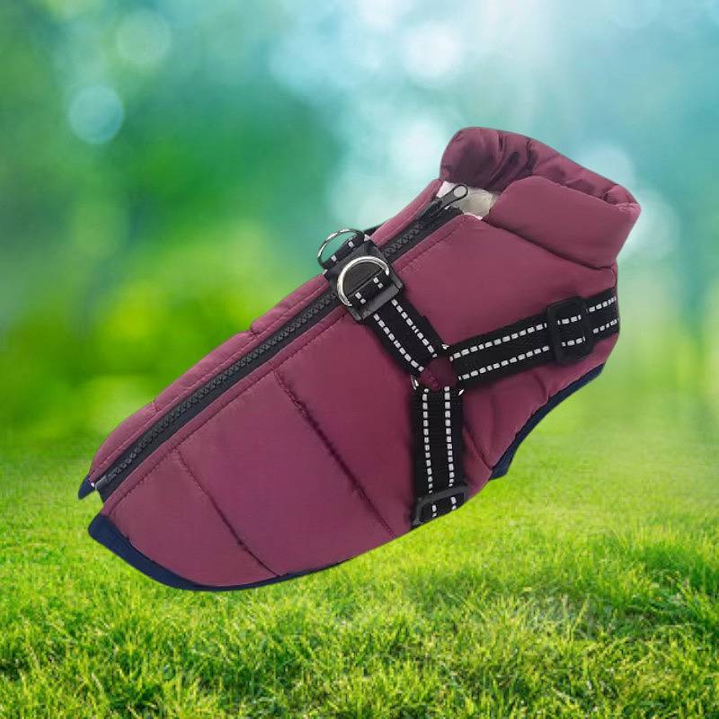 Warm Insulated Dog Coat with Reflective Safety Harness