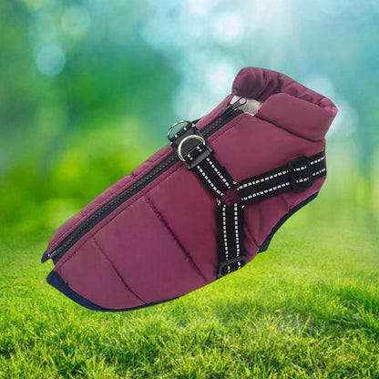 Warm Insulated Dog Coat with Reflective Safety Harness