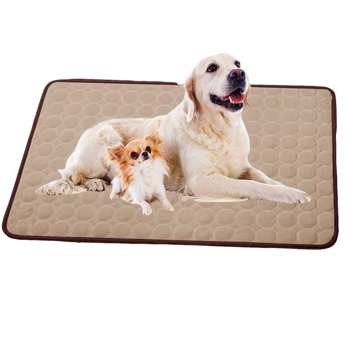 Best Cooling Pet Mat for Dogs and Cats