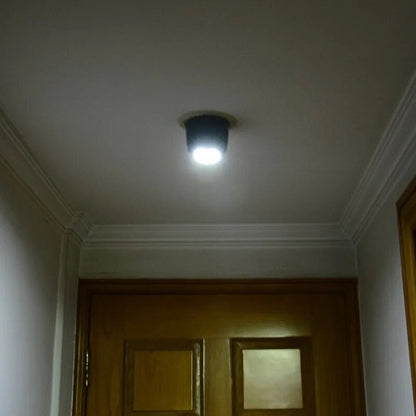 Solar Powered Motion Detector Yard Light