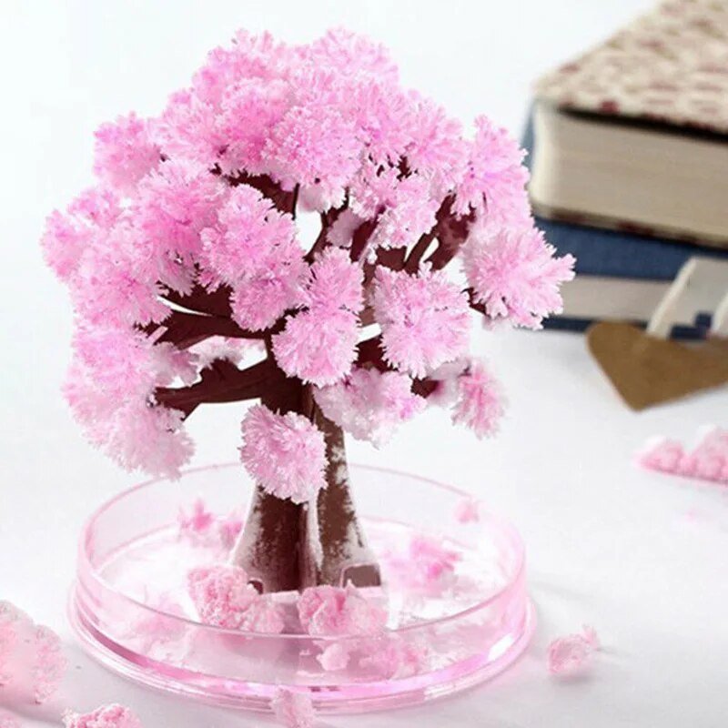 Beautiful Pink Cherry Blossom Tree