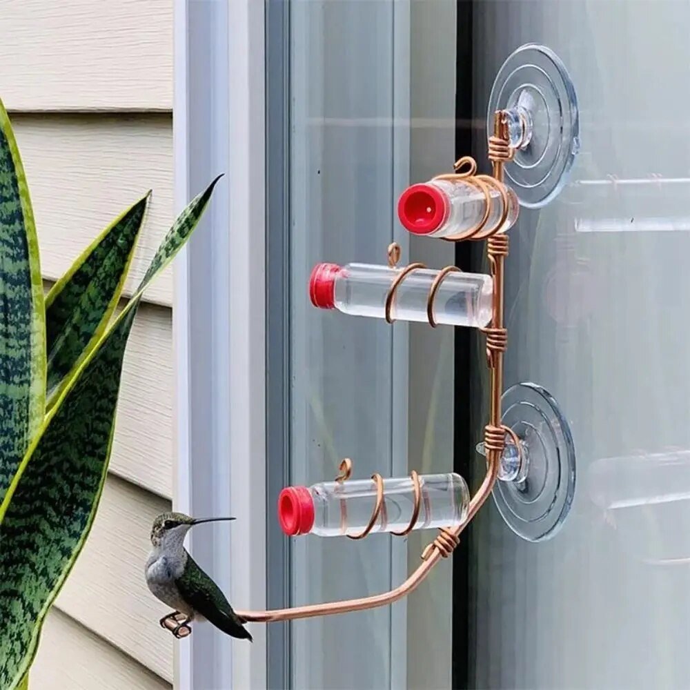 Bird Watching Window Bird Feeder