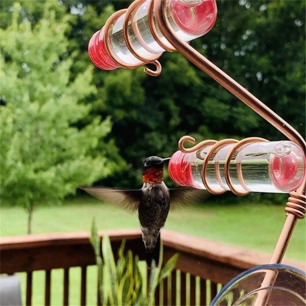 Bird Watching Window Bird Feeder