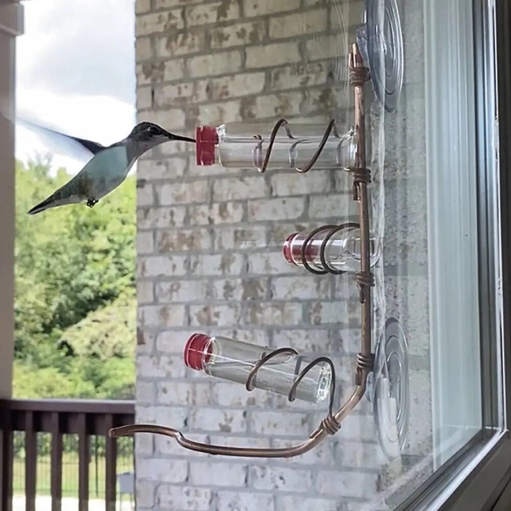 Bird Watching Window Bird Feeder - Luxicro