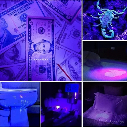 Powerful UV Light for Bed Bugs Detection