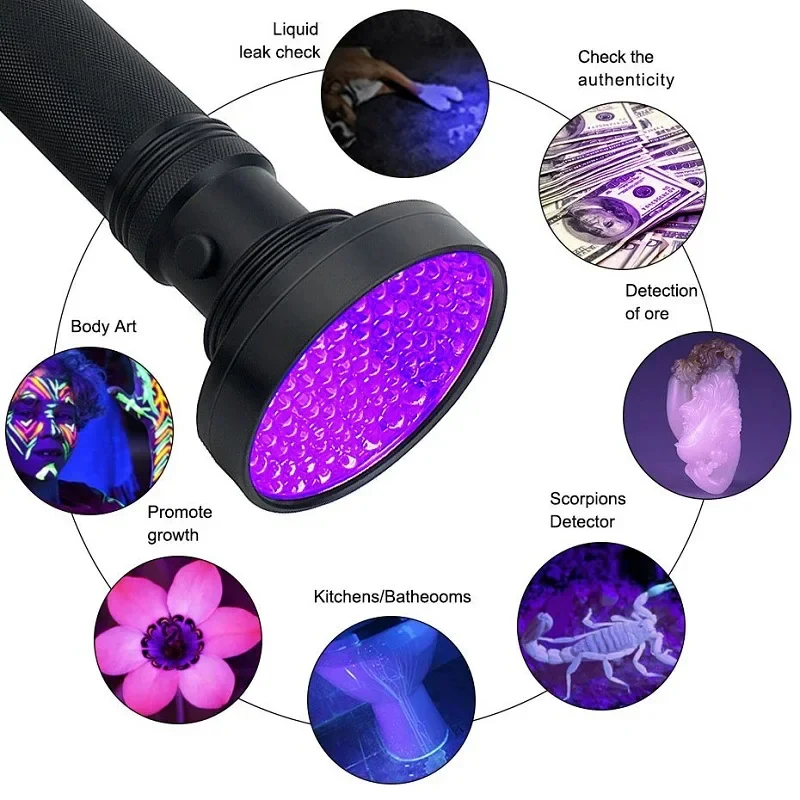 Powerful UV Light for Bed Bugs Detection