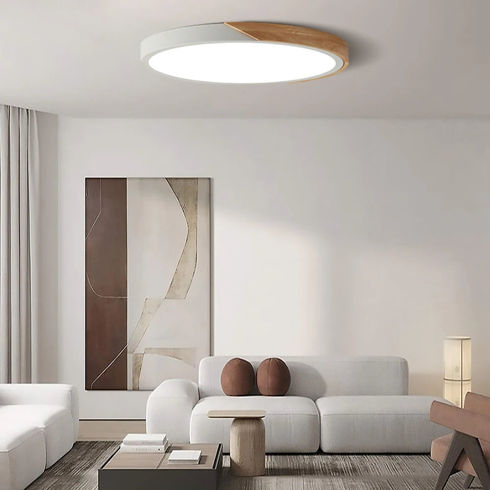 Slim LED Ceiling Lamp For Contemporary Homes - Luxicro