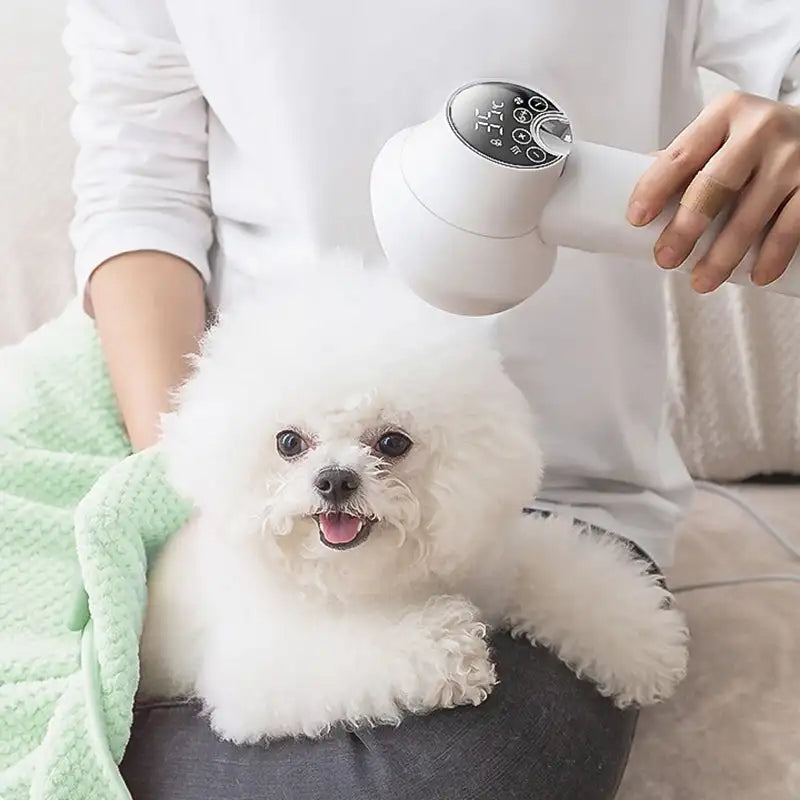 Portable Pet Hair Dryer with Comfort Grip - Luxicro