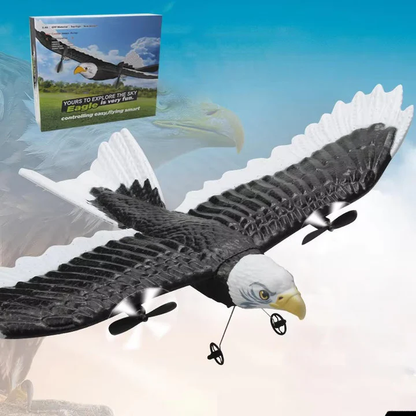 Remote Control Soaring Eagle Toy Plane