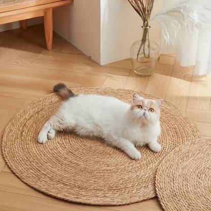 Pet Scratch Resistant Low Profile Mat