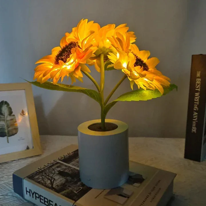 Colorful Solar Powered Bedside Lamp - Luxicro