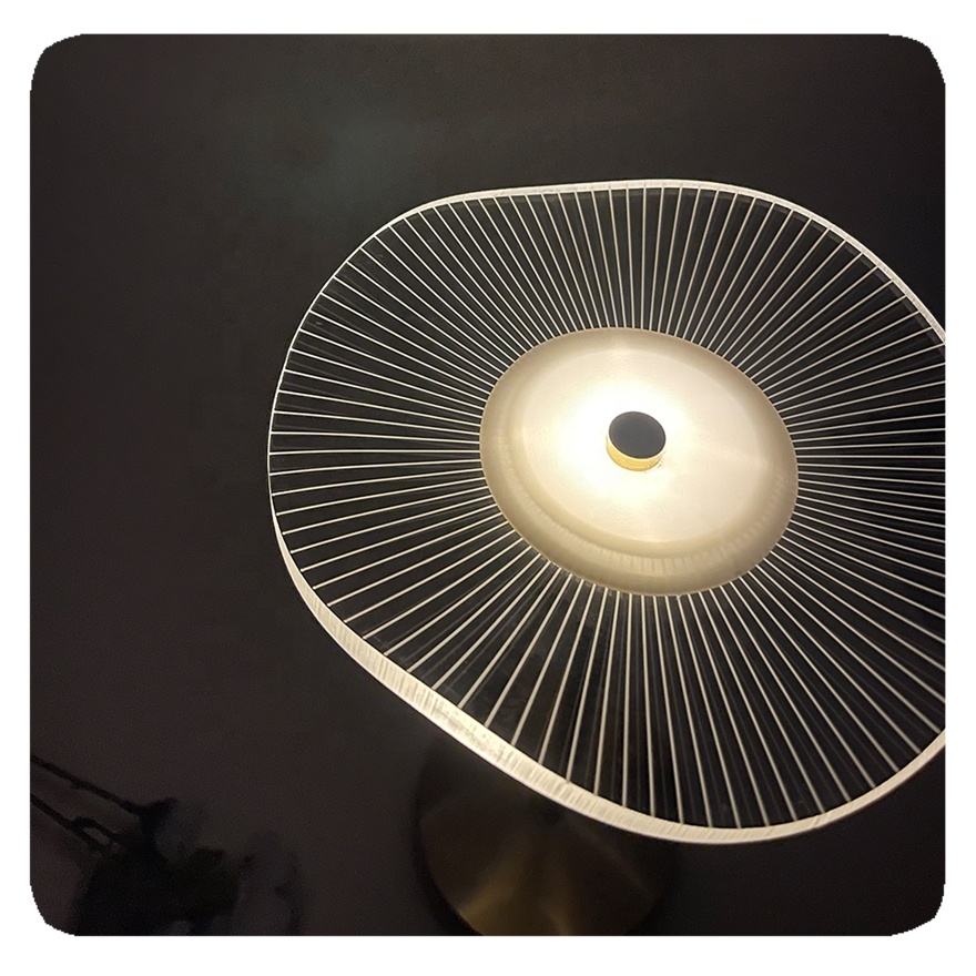 Contemporary LED Desk Lamps