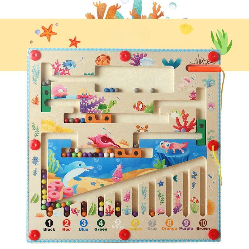 Educational Magnetic Brain Teaser Toy