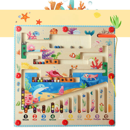 Educational Magnetic Brain Teaser Toy