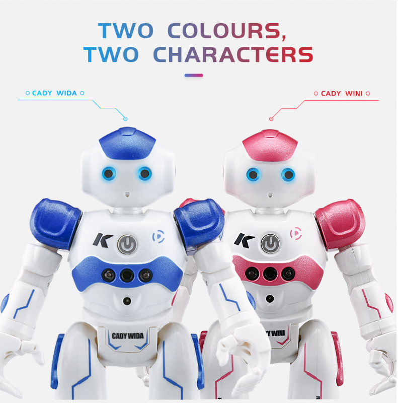Cool Remote Control Robot Toy