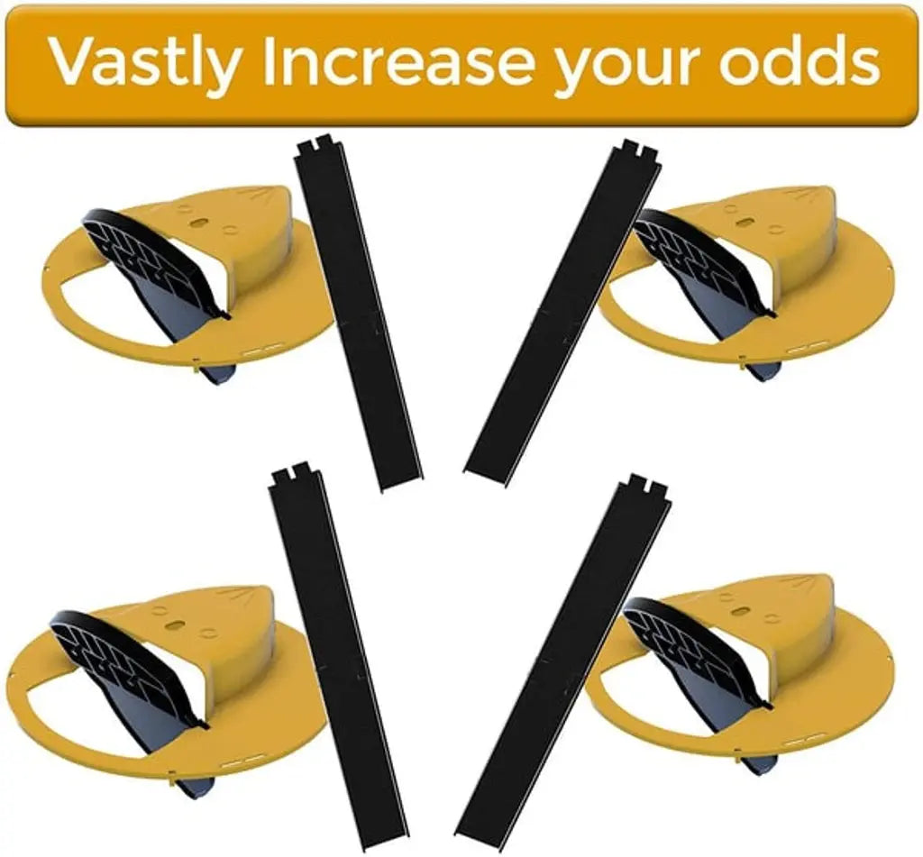 Effective Rat Trap Solution for Home Protection