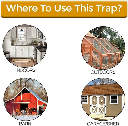 Effective Rat Trap Solution for Home Protection
