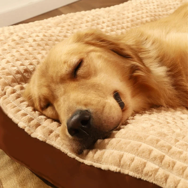 Comfy Orthopedic Dog Bed