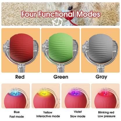 Fun Interactive Pet Toy